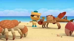 Octonauts Octonauts and the Coconut Crisis