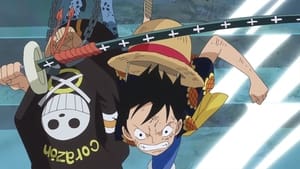 One Piece: Season 17 Episode 695