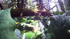 The Universe | StreamHub