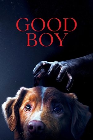 Good Boy-2025