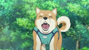 Image My Beloved Dog Pan-kun Is a Good Boy