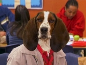 As Visões da Raven: 1×14