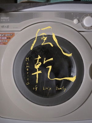 Ｍemories of Lin's Family (2025)