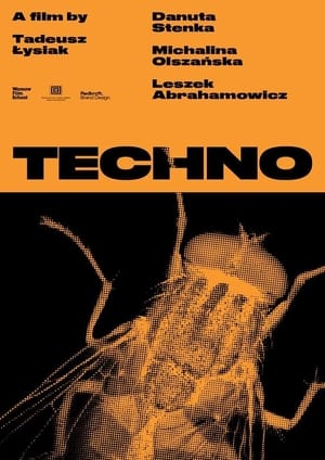 Poster Techno 2018