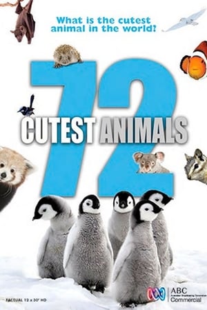 72 Cutest Animals: Temporada 1