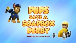 Image Pups Save a Soapbox Derby