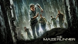 poster The Maze Runner