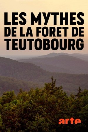 Poster Secret Teutoburg Forest (2020)