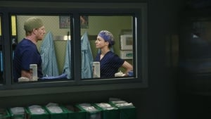 Grey’s Anatomy: 11 Temporada Episódio 22