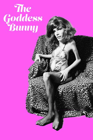 The Goddess Bunny 3