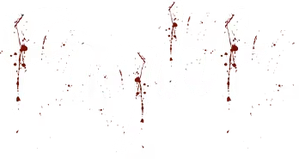Fight