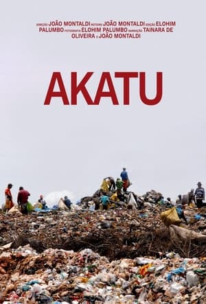 Poster Akatu 2023