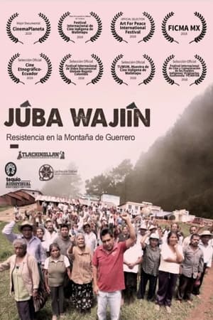 Poster Júba Wajií­n. Resistencia en la montaña de Guerrero (2018)