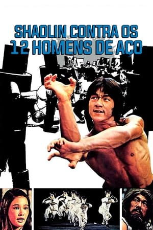 Assistir Shaolin Contra os 12 Homens de Aço Online Grátis