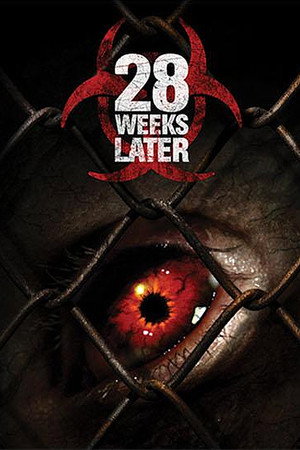 Постер фильма «28 недель спустя (2007)» — (33 из 110)