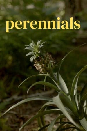 Image perennials