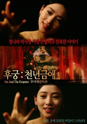 후궁: 천년금애 1994