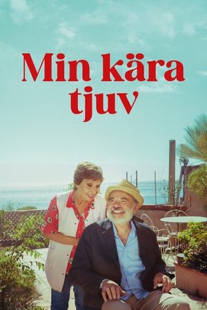 Image La Pie voleuse