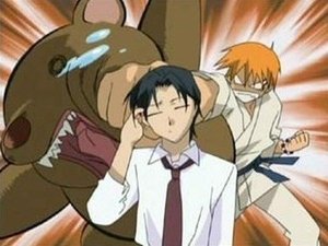 Fruits Basket The Sohma Curse