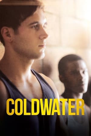 Poster Coldwater 2013