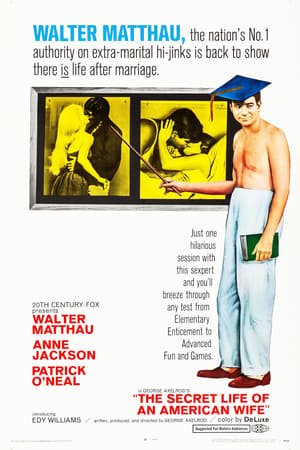 Poster The Secret Life of an American Wife (1968)