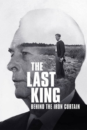 King Michael: The Journey Home