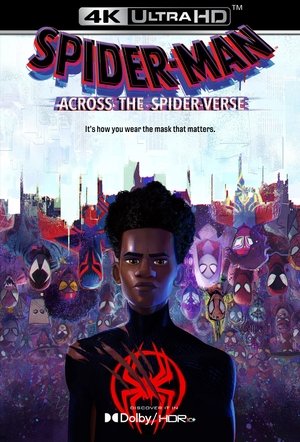 poster Spider-Man: Across the Spider-Verse