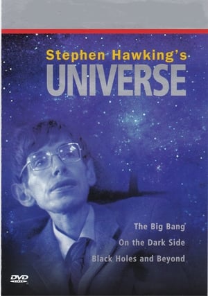 Poster Stephen Hawking's Universe 1997