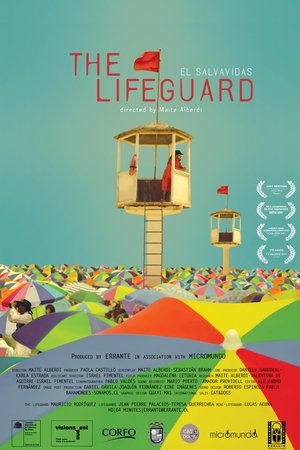 The Lifeguard poster