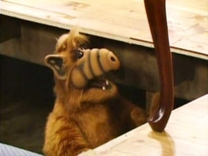 ALF: 2×22