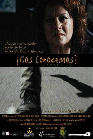 Poster ¿Nos conocemos? (2014)