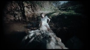 Trolls Online En Netflix