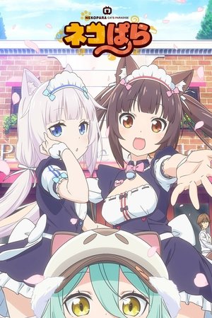 Nekopara streaming
