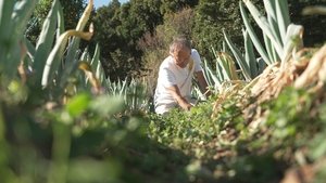 NHK WORLD PRIME: 6×6