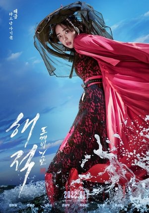 Image 해적: 도깨비 깃발