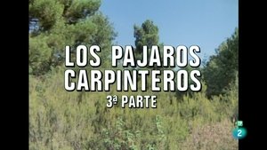 Episode 43
