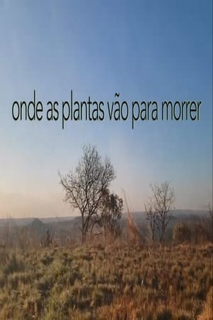 Image Onde As Plantas Vão Para Morrer