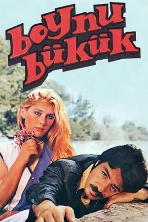 Poster Boynu Bükük (1980)