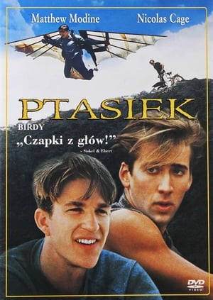 Poster Ptasiek 1984