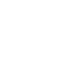 Moon, 66 questions — Logos 9