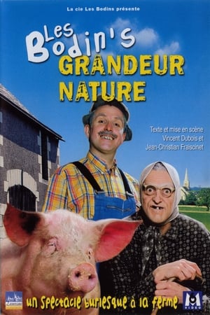 Poster Les Bodin's - Grandeur Nature (2006)