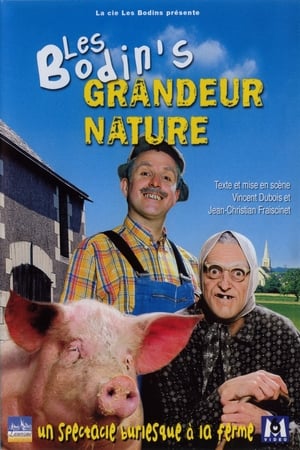 Les Bodin's - Grandeur Nature poster