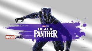 Black Panther 2018