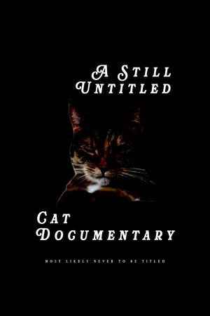 A Still Untitled Cat Documentary