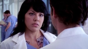 Grey’s Anatomy 3 x Episodio 11