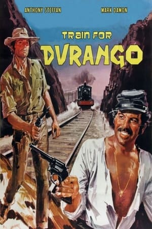 Train for Durango poster