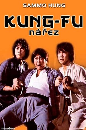 Image Kung-fu nářez