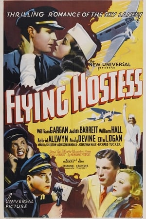 Flying Hostess poster