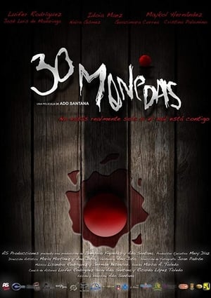 Poster 30 Monedas (2014)