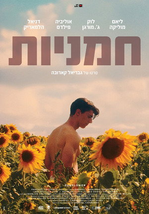Sunflower 26